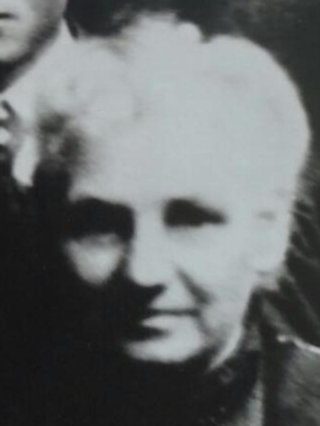 Catherine Nelson (1851 - 1925) Profile